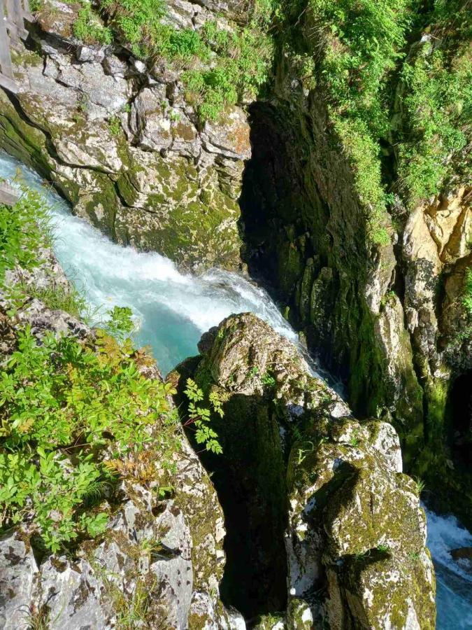 Apartma Marjetica Ii. Blejska Dobrava Esterno foto
