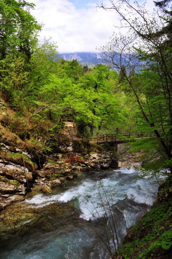 Apartma Marjetica Ii. Blejska Dobrava Esterno foto