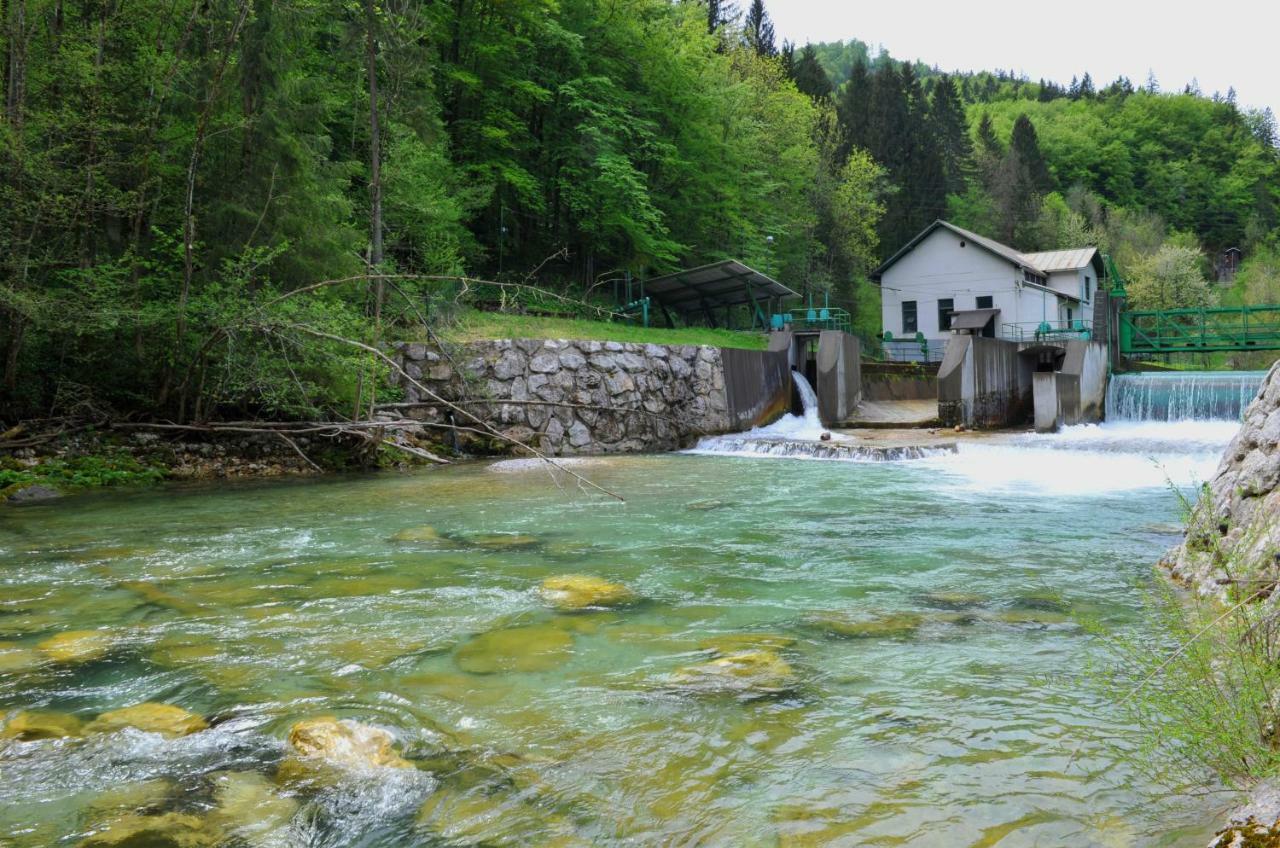 Apartma Marjetica Ii. Blejska Dobrava Esterno foto