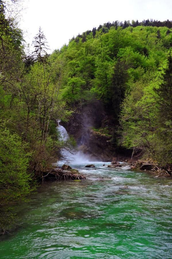 Apartma Marjetica Ii. Blejska Dobrava Esterno foto